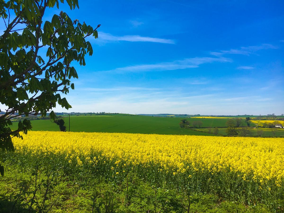 فندق دييْلفي  Sutton Vale المظهر الخارجي الصورة